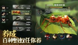 小小蚁国最新活动爆料,揭秘最新活动亮点与福利大放送！